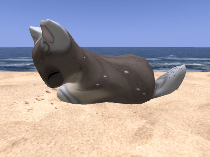 Stray Cats Kitten - Stray Kitty (M)