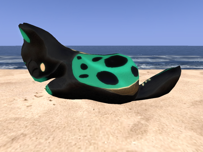 Stray Cats Kitten - Stray Kitty (F)