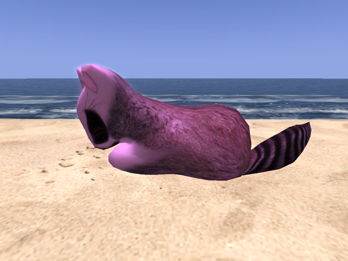 Stray Cats Kitten - Stray Kitty (F)