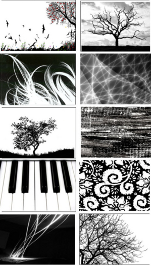 Black White I