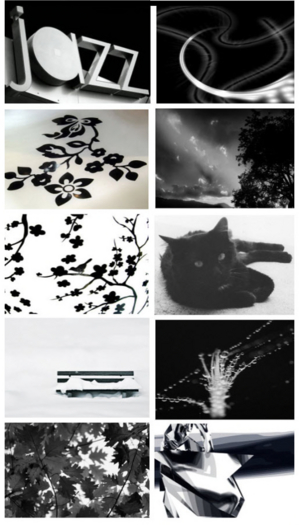 Black White II