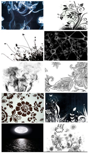 Black White VI