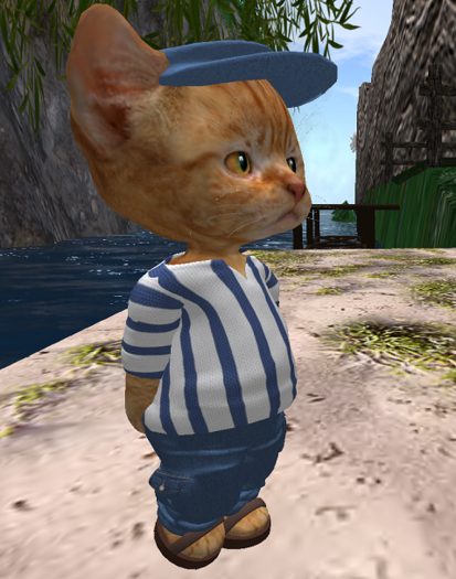 Dinkie Denim Cargo Pants