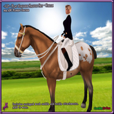 ~LP~ Flat Dressage Saddle Set [BOXED] ABC FL Cracker Cream