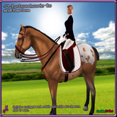 ~LP~ Flat Dressage Saddle Set [BOXED] ABC FL Cracker Red