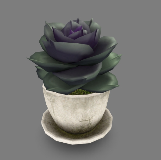 ROIRO - succulent-01