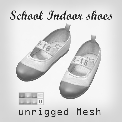 School Indoor shoes DEMO
