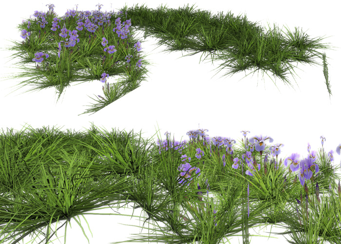 *Heart* - Plants Clusters 1