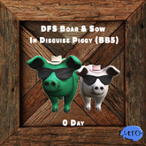 DFS Boar & Sow In Disguise Piggy (BB5)