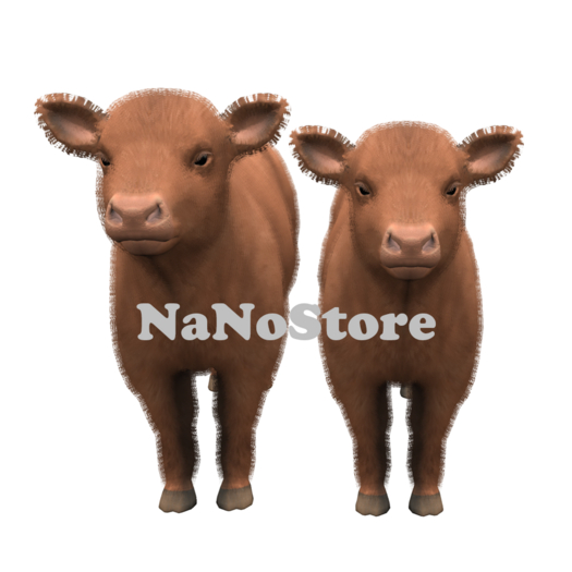 DFS Bull & Cow Mini Highland (2 items)