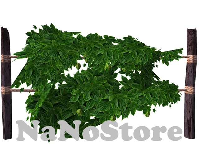 DFS Hops Vine - Tiny