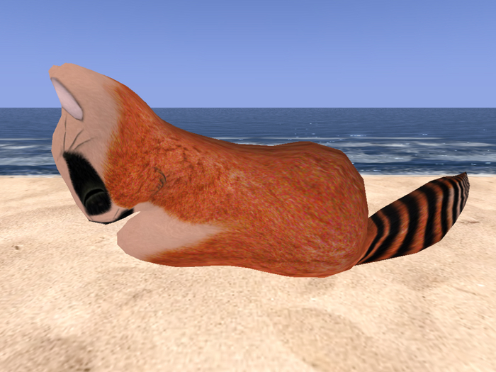 Stray Cats Kitten - Stray Kitty (M)