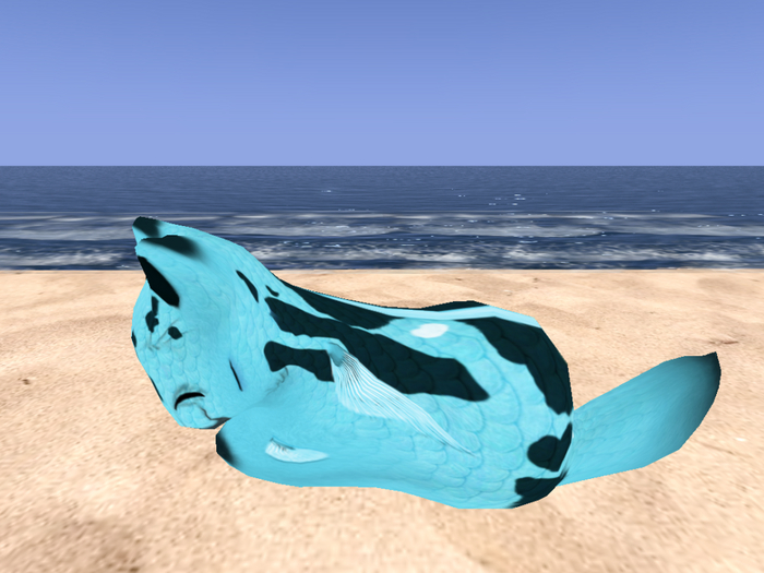 Stray Cats Kitten - Stray Kitty (F)