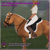 ~LP~ Forward English Set ABC Shetland (boxed) Bblack