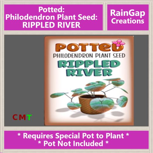 Potted: Philodendron Plant Seed: Rippled River ACTUAL ITEM