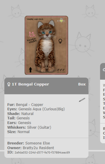 KittyCatS Box - 1T Bengal Copper