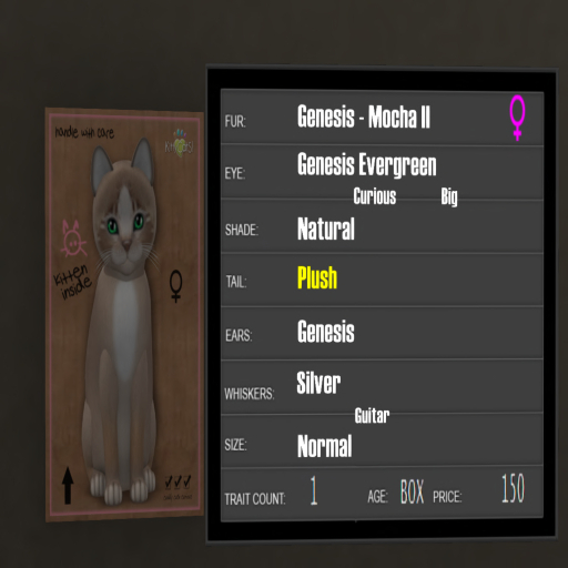 KittyCatS Box - 1T Genesis Mocha II 2
