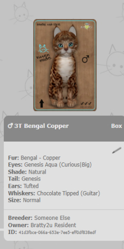 KittyCatS Box - 3T Bengal Copper