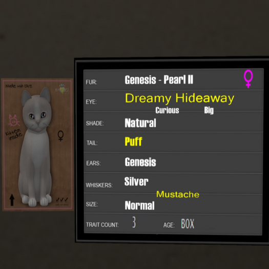 KittyCatS Box - 3T Genesis Pearl II