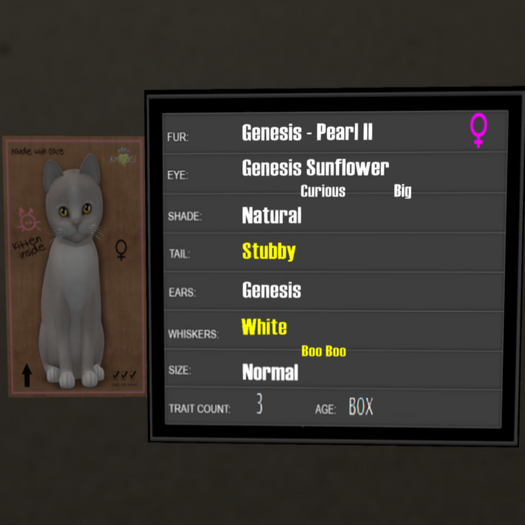 KittyCatS Box - 3T Genesis Pearl II 2