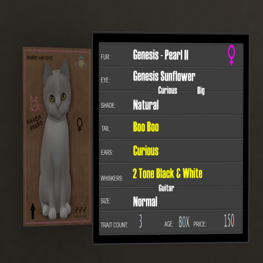 KittyCatS Box - 3T Genesis Pearl II 5