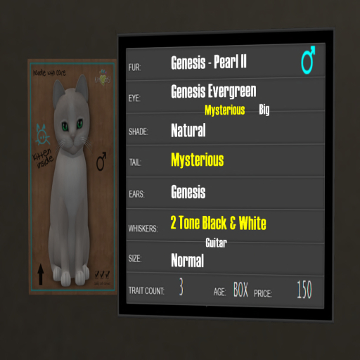 KittyCatS Box - 3T Genesis Pearl II 6