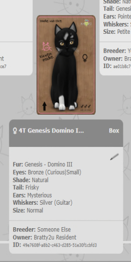 KittyCatS Box - 4T Genesis Domino III