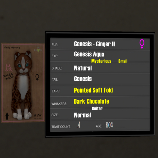 KittyCatS Box - 4T Genesis Ginger II