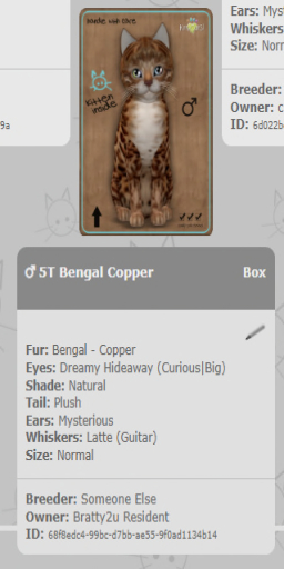 KittyCatS Box - 5T Bengal Copper
