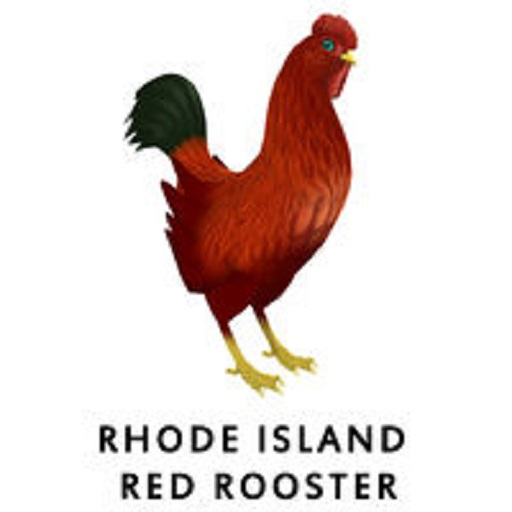 Barnyard Bird Nest - Rhode Island Red - Rooster
