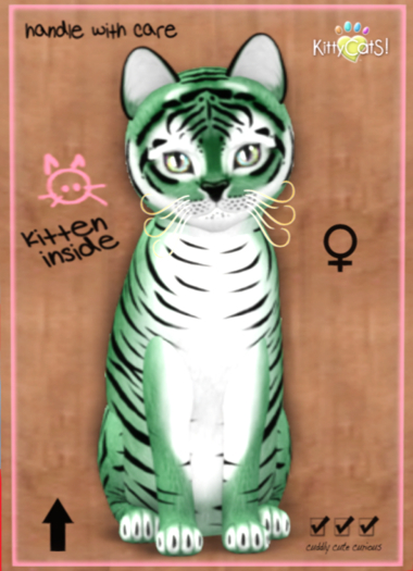 KittyCatS Box - Tiger! - Dusky Green