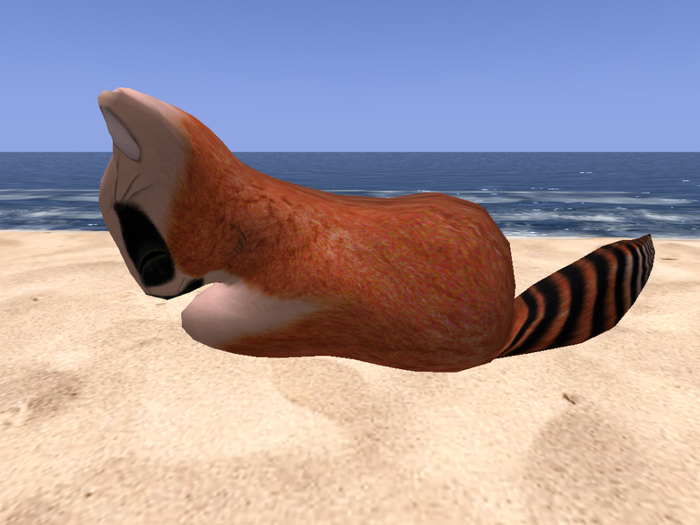 Stray Cats Kitten - Stray Kitty (F)