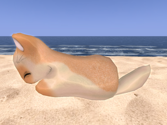 Stray Cats Kitten - Stray Kitty (M)