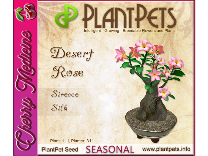 PlantPet Seed [Desert Rose *Sirocco Silk*]