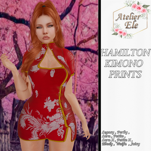 {AE}  HAMILTON  KIMONO PRINTS