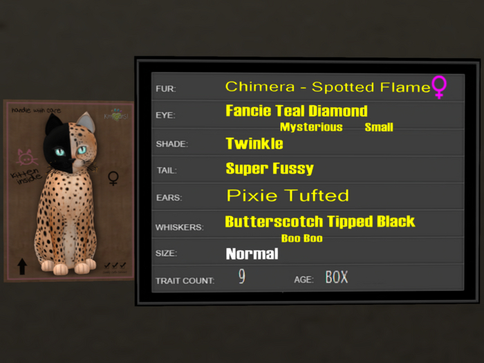 KittyCatS Box - 9T Spotted Flame 20