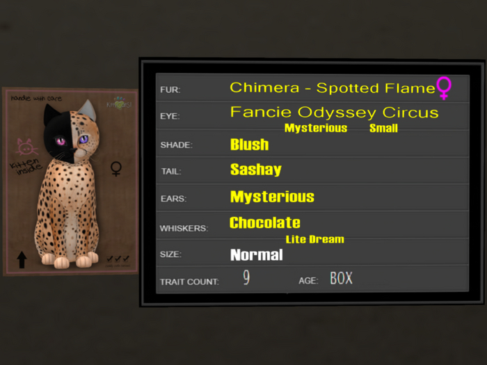 KittyCatS Box - 9T Spotted Flame 22