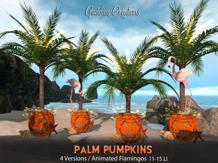 )O( GC: Palm Pumpkins  