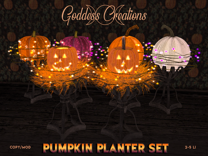 )O( GC: Pumpkin Planter Set