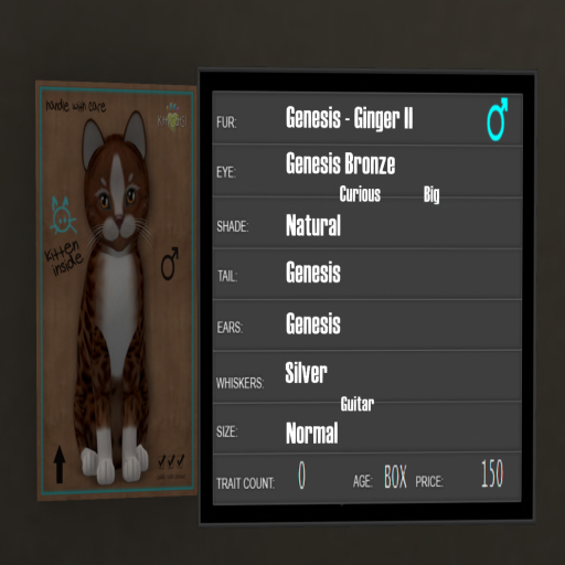 KittyCatS Box - 0T Genesis Ginger II 2