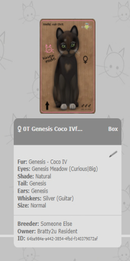 KittyCatS Box - 0T Genesis Coco IVfemale