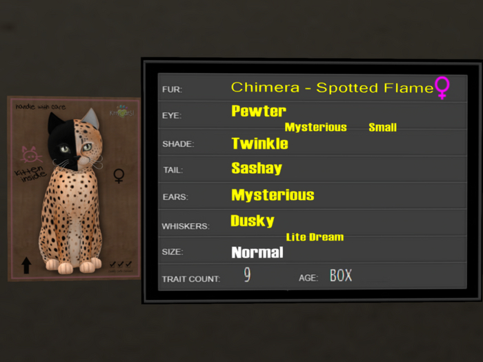 KittyCatS Box - 9T Spotted Flame 27