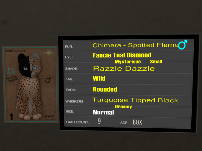 KittyCatS Box - 9T Spotted Flame 28