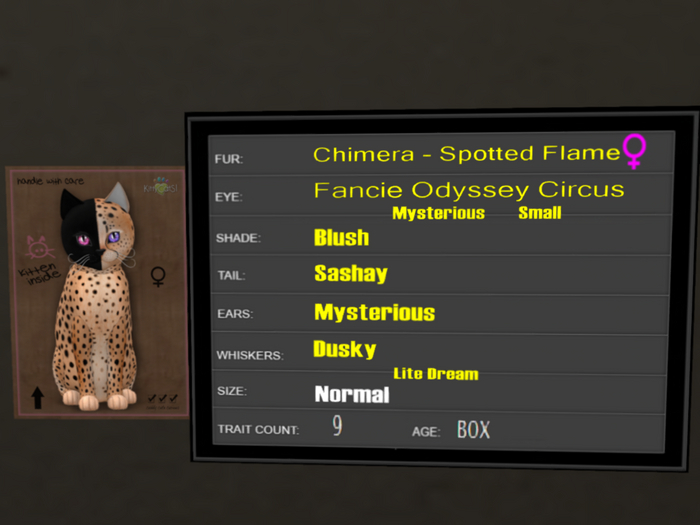 KittyCatS Box - 9T Spotted Flame 29