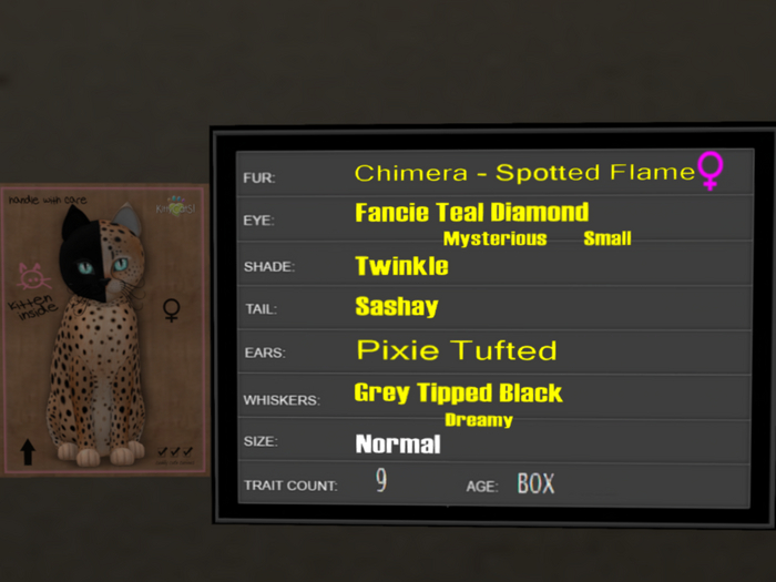 KittyCatS Box - 9T Spotted Flame 33