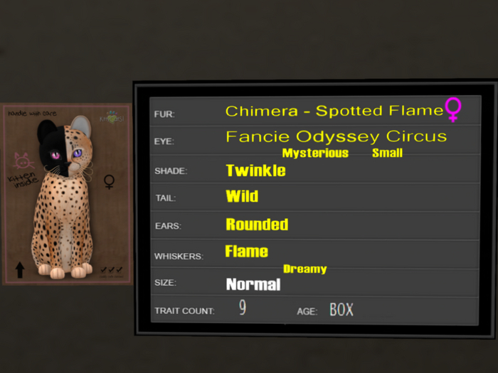 KittyCatS Box - 9T Spotted Flame 36