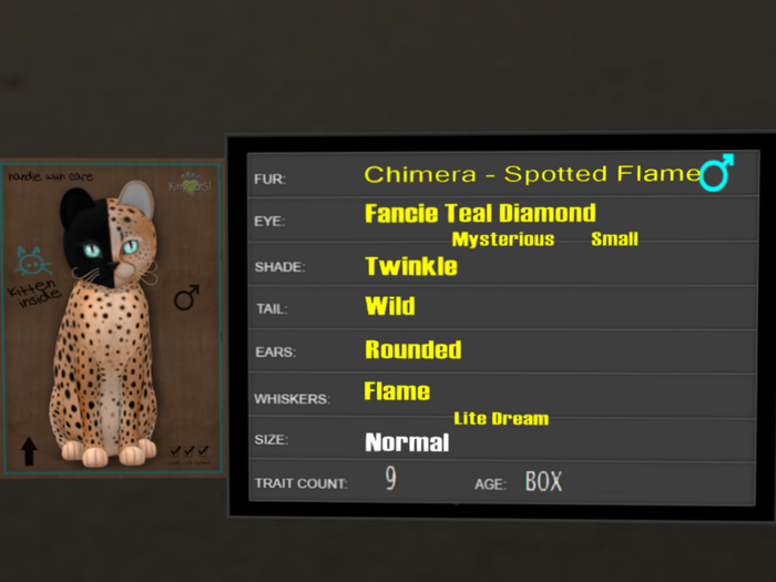 KittyCatS Box - 9T Spotted Flame 37