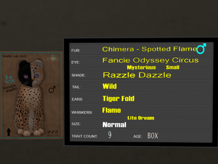 KittyCatS Box - 9T Spotted Flame 38