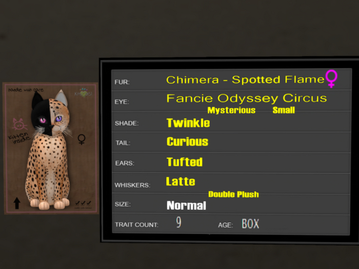KittyCatS Box - 9T Spotted Flame 39