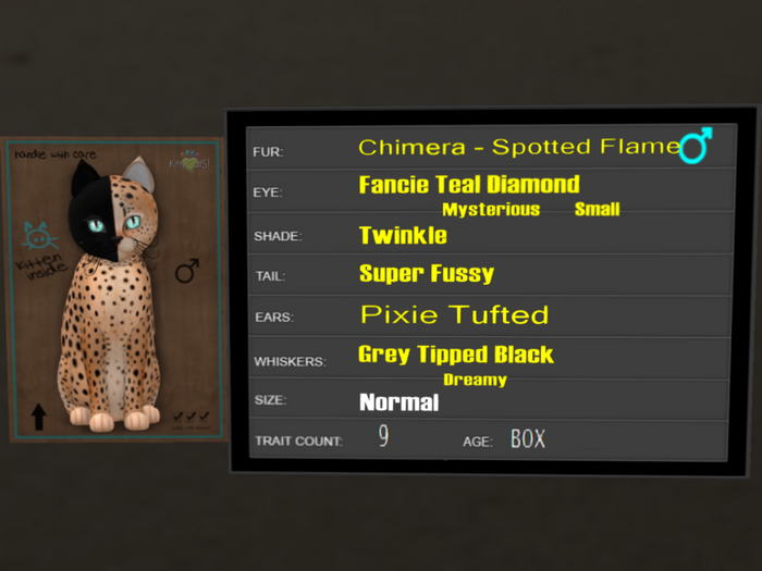 KittyCatS Box - 9T Spotted Flame 41